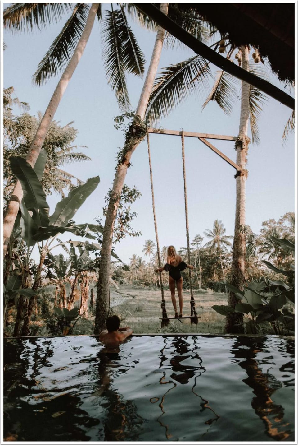 Day, People, Natural landscape, Garden view, Swimming pool, group of guests