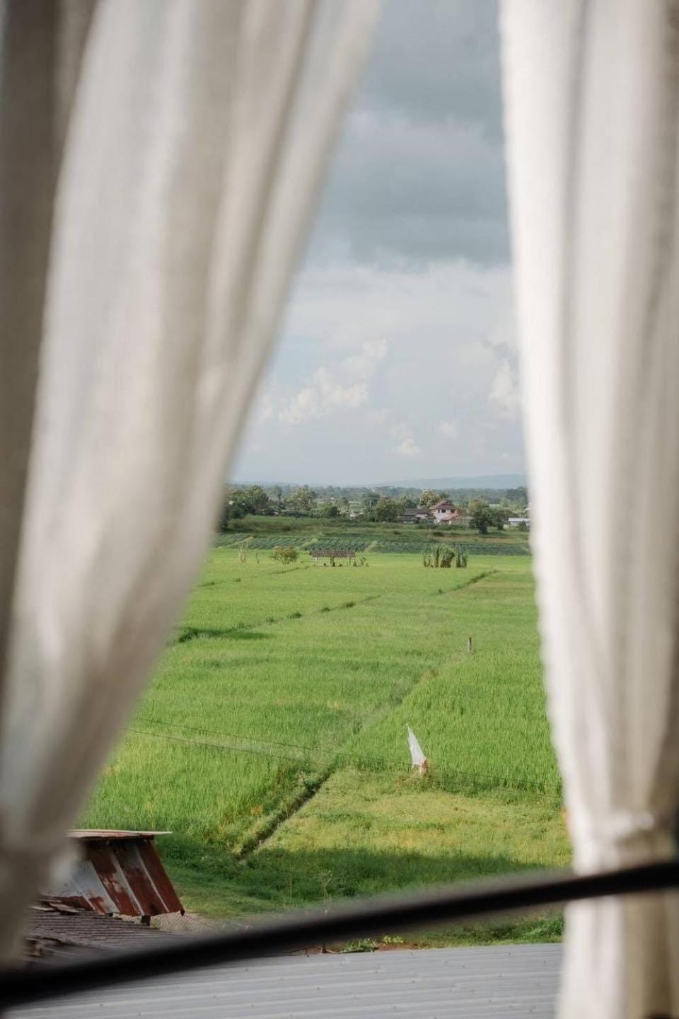Day, Natural landscape