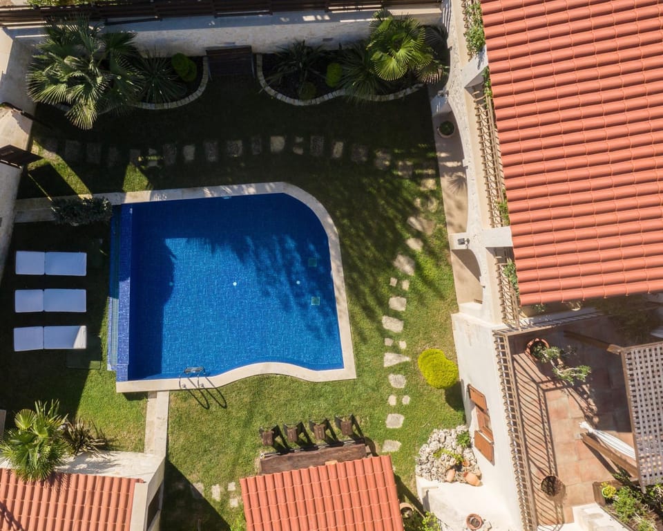 Day, Garden, Garden view, Pool view, Swimming pool, sunbed