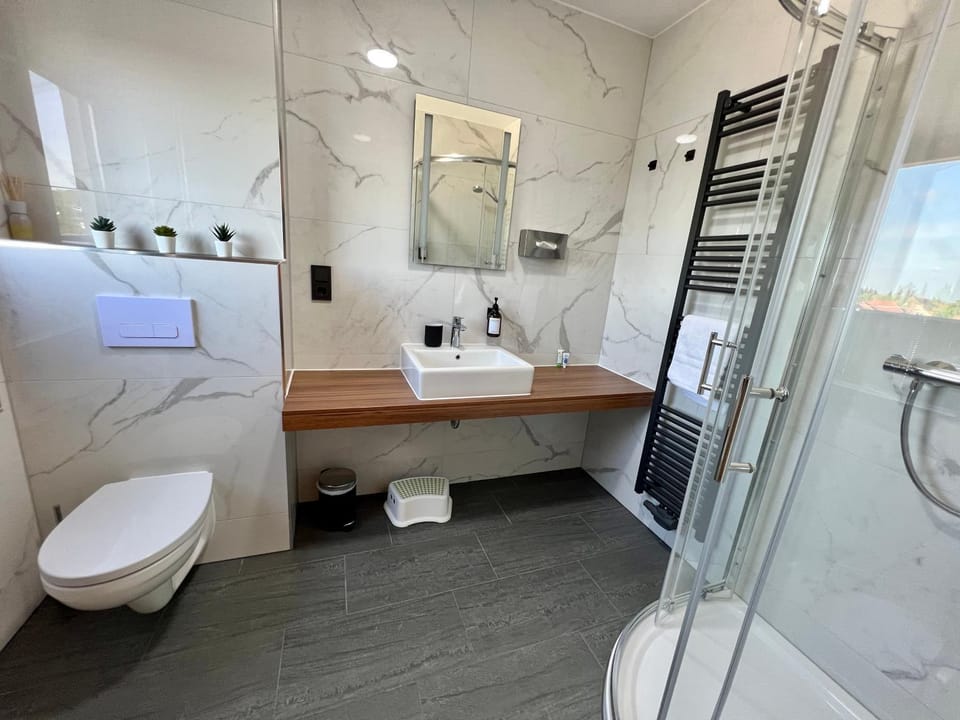 Shower, Toilet, Bathroom, towels