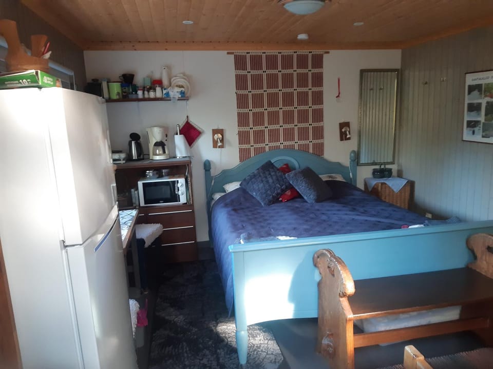Bed, Coffee/tea facilities, Kitchen or kitchenette, Photo of the whole room, Dining area, Bedroom, toaster, air conditioner
