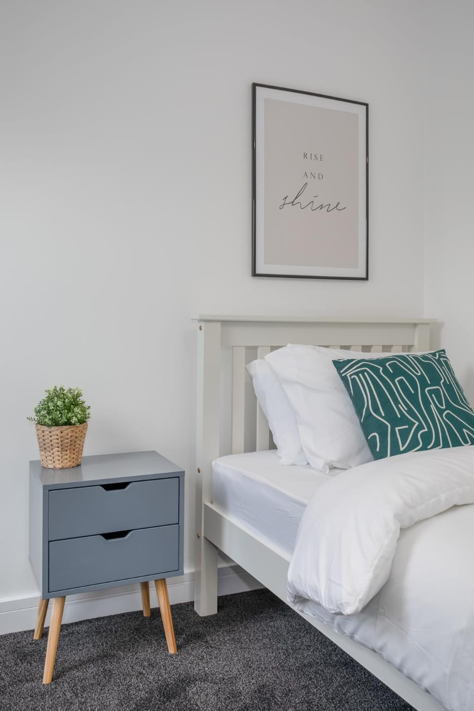 Central Avenue Apartment Apartment in Belfast