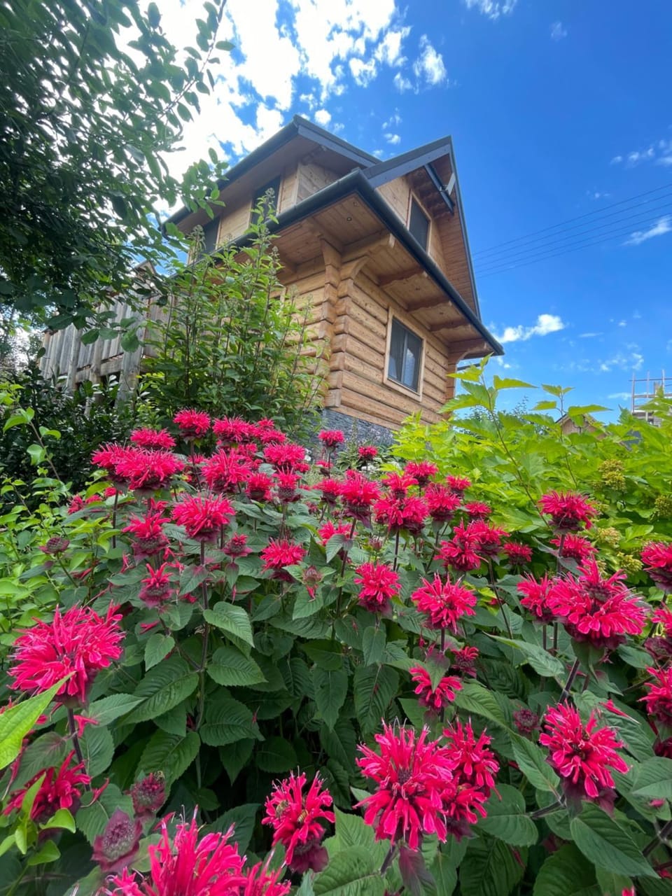 Property building, Garden
