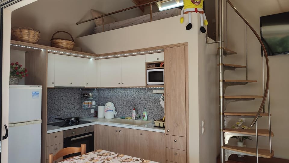 Kitchen or kitchenette, minibar, stove, kitchen