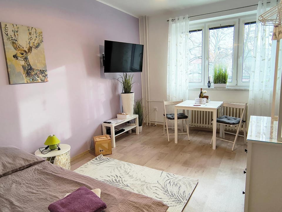 Garsonka ve Dvoře Apartment in Czechia