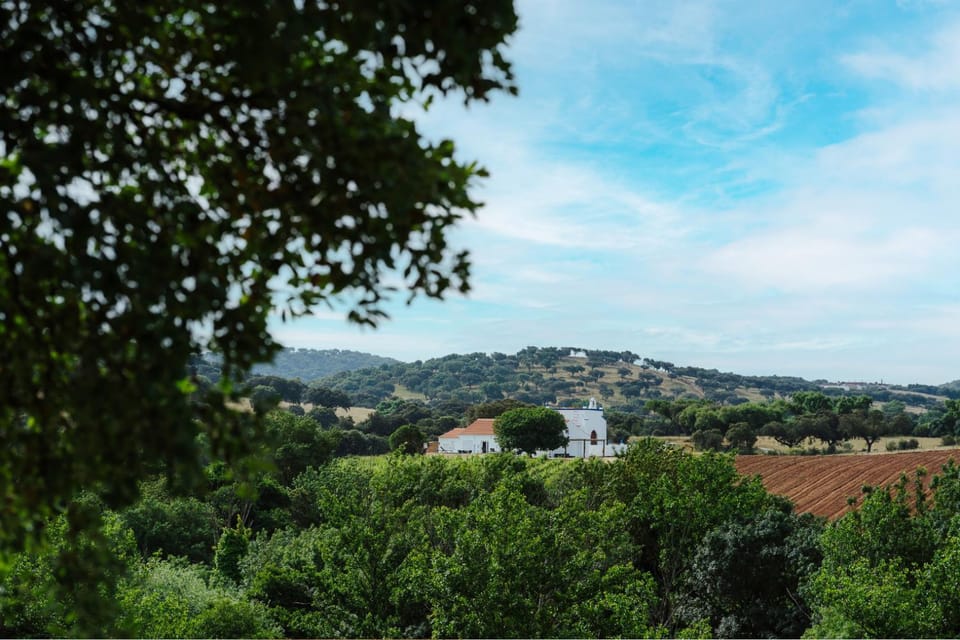 Natural landscape, Mountain view