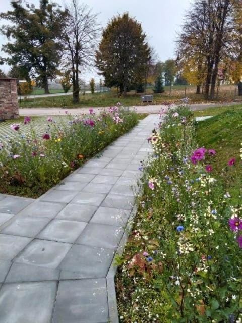 Spring, Day, Natural landscape, Garden, Garden view
