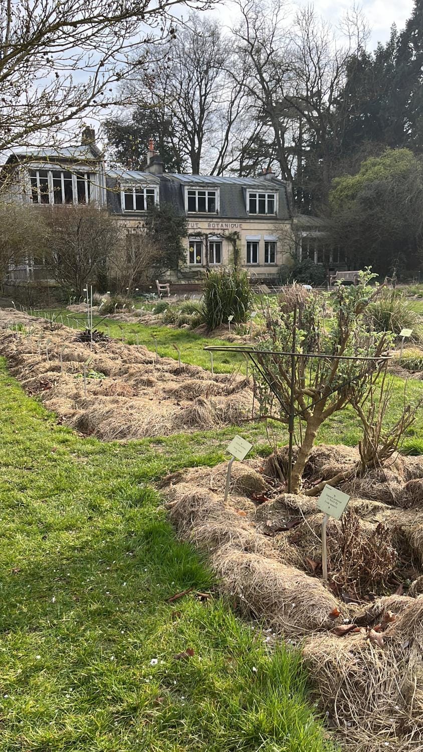 Abbaye aux hommes, un charmant cocon pour 2,3 ou 4! Apartment in Caen