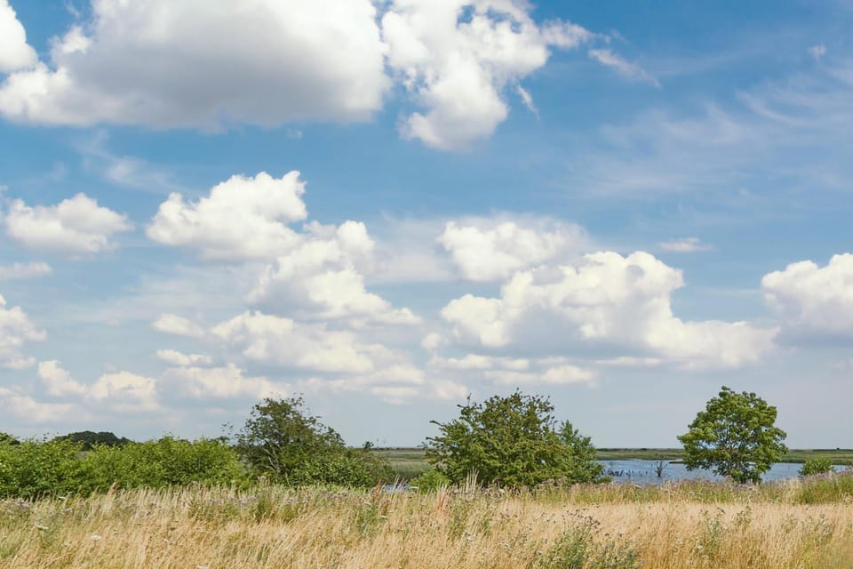 Natural landscape