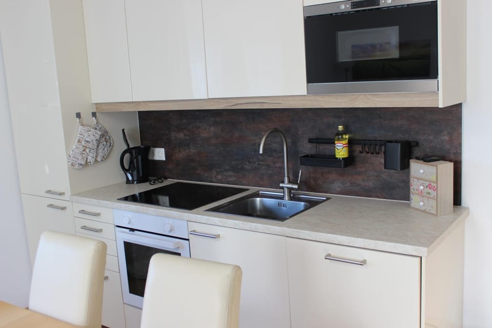Kitchen or kitchenette, minibar, pet friendly, stove