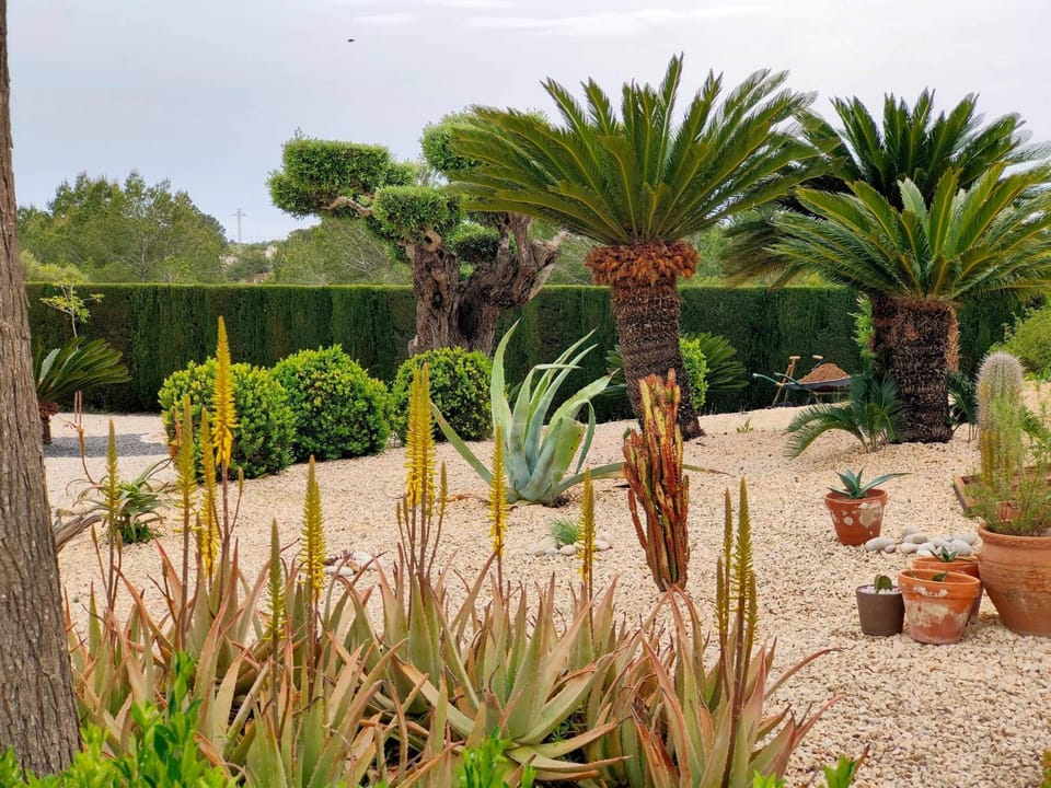 Garden