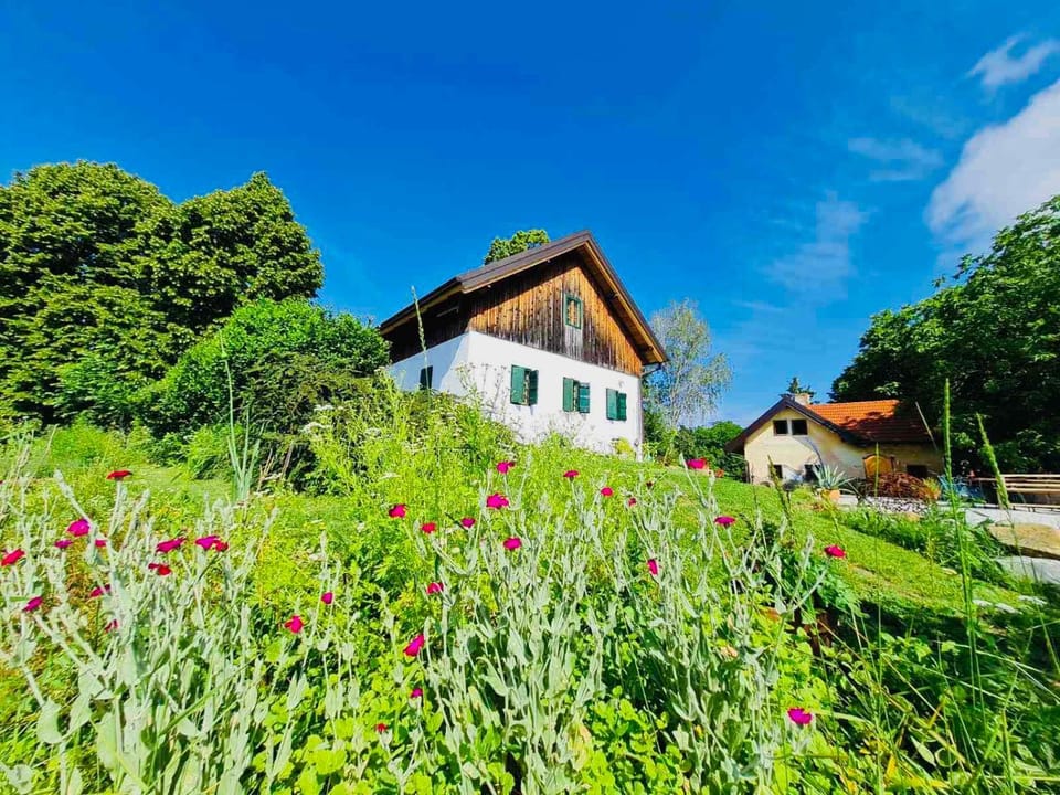 Property building, Spring, Day, Natural landscape, Garden, Garden view