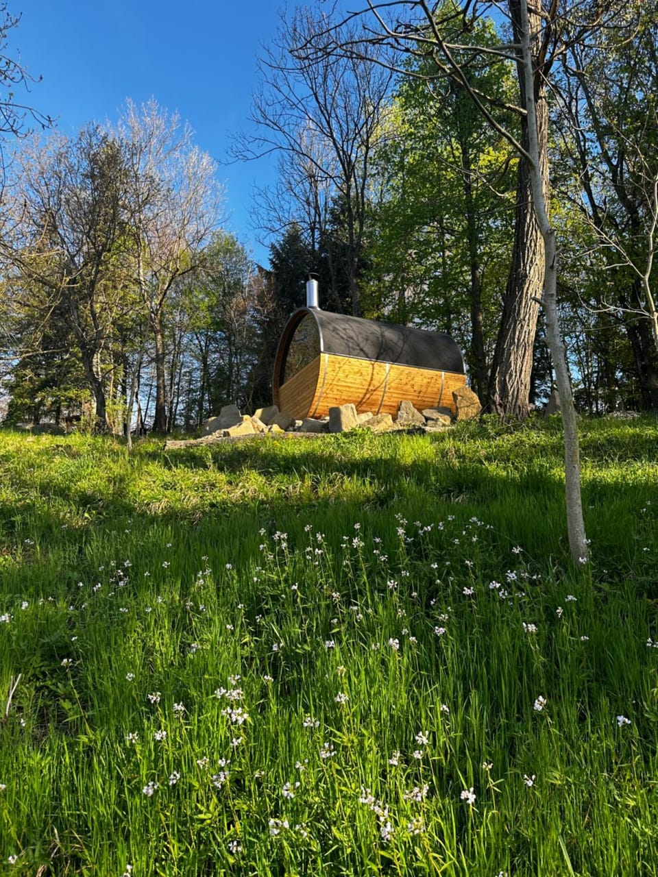 Sauna, Sauna