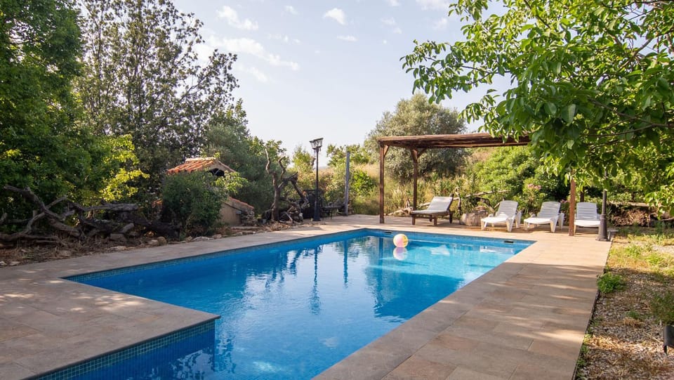 Swimming pool, Swimming pool, sunbed
