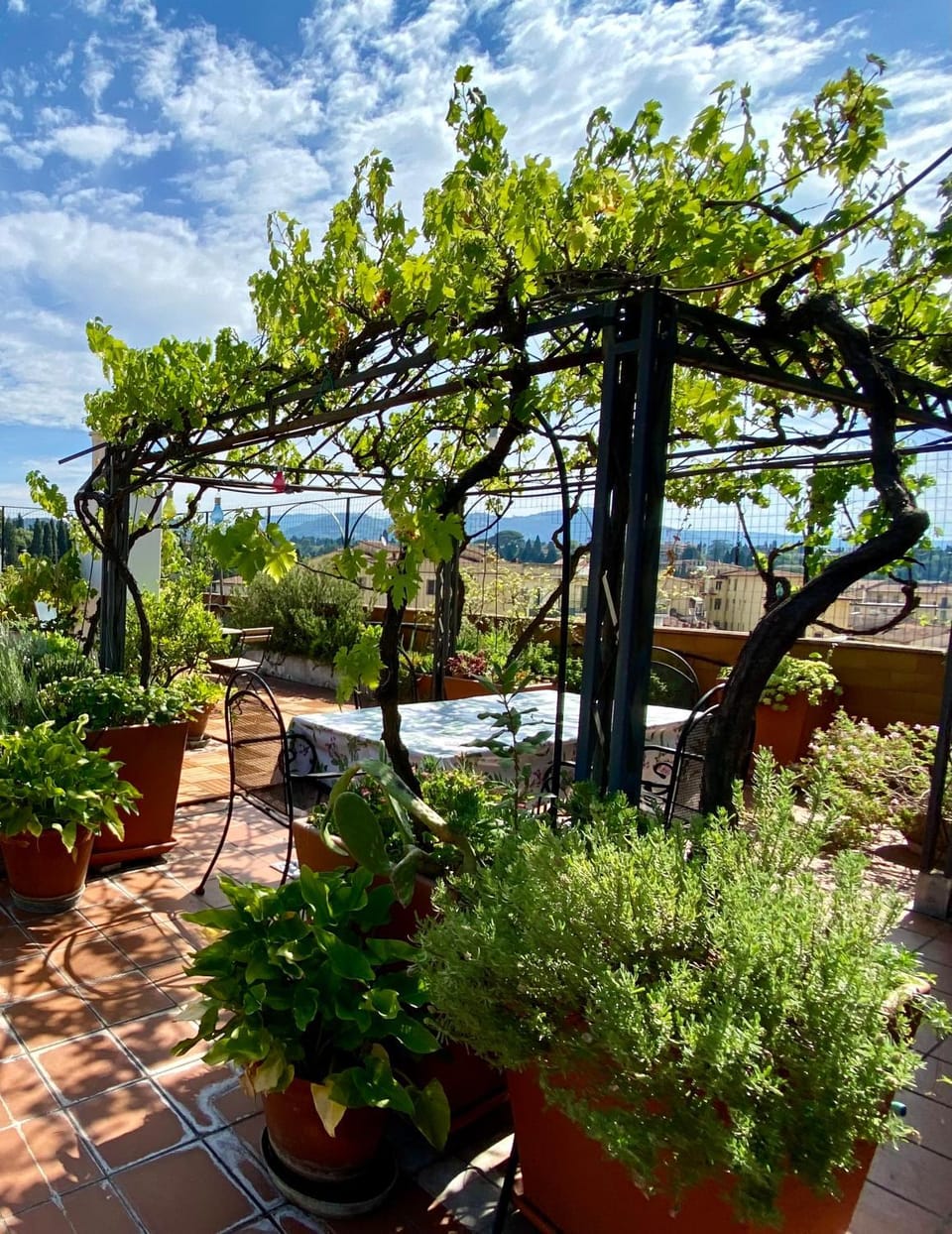 Balcony/Terrace