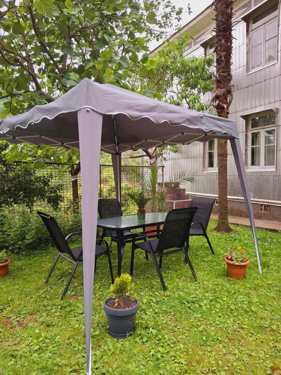 Garden view