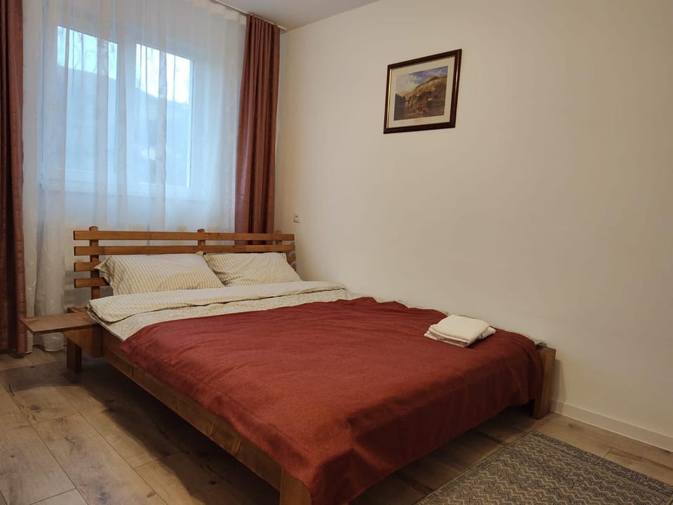 Casa Pescarului Apuseni Bed and Breakfast in Romania
