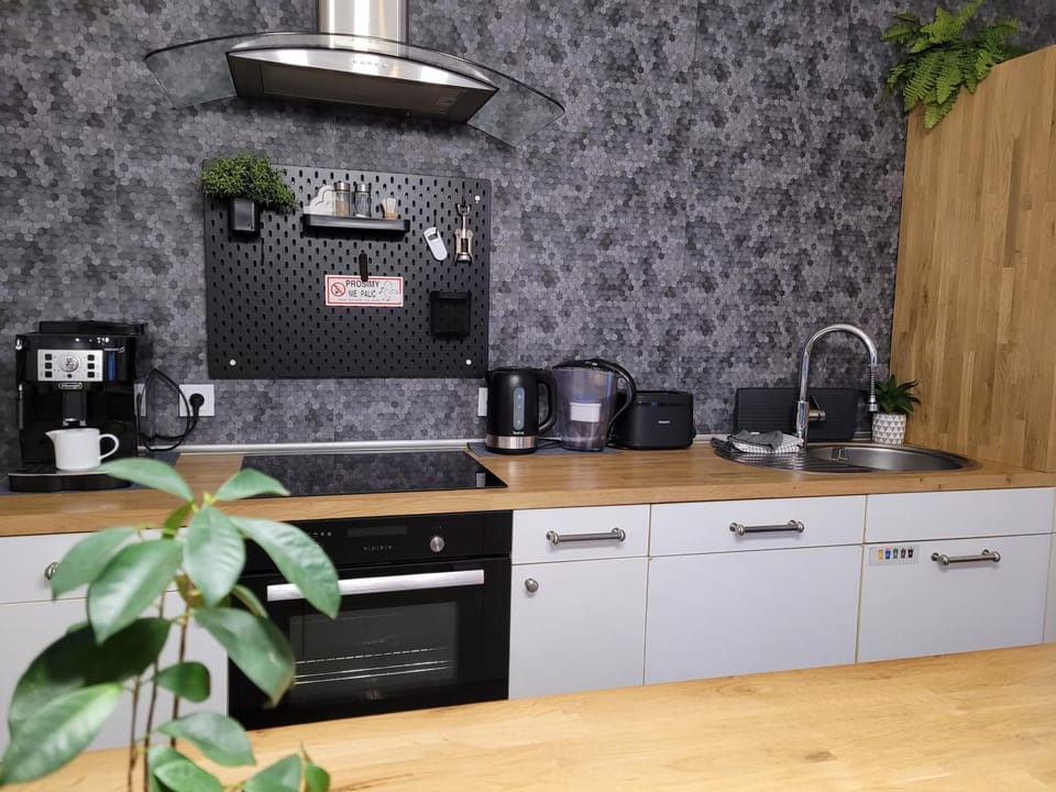 Apartament Pod Orzechem Apartment in Greater Poland Voivodeship