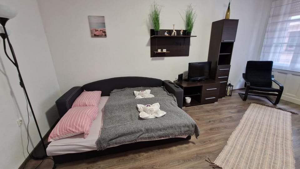 Perfect located flat with gametable Apartment in Budapest