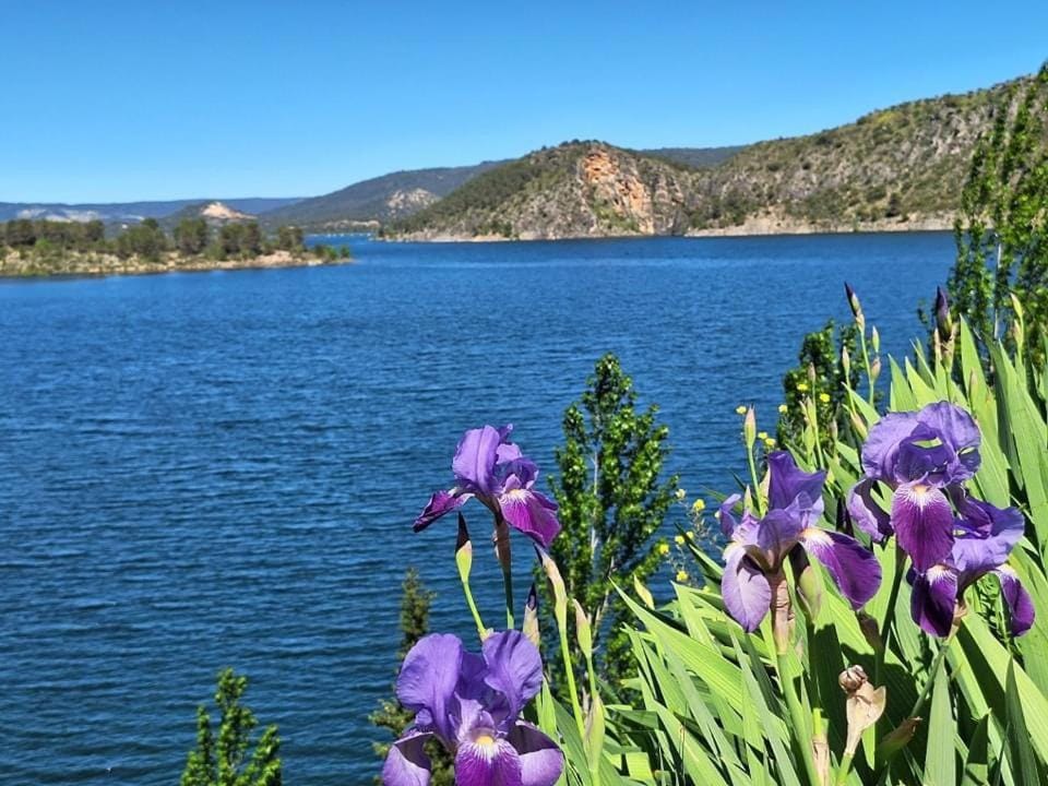 Lake view