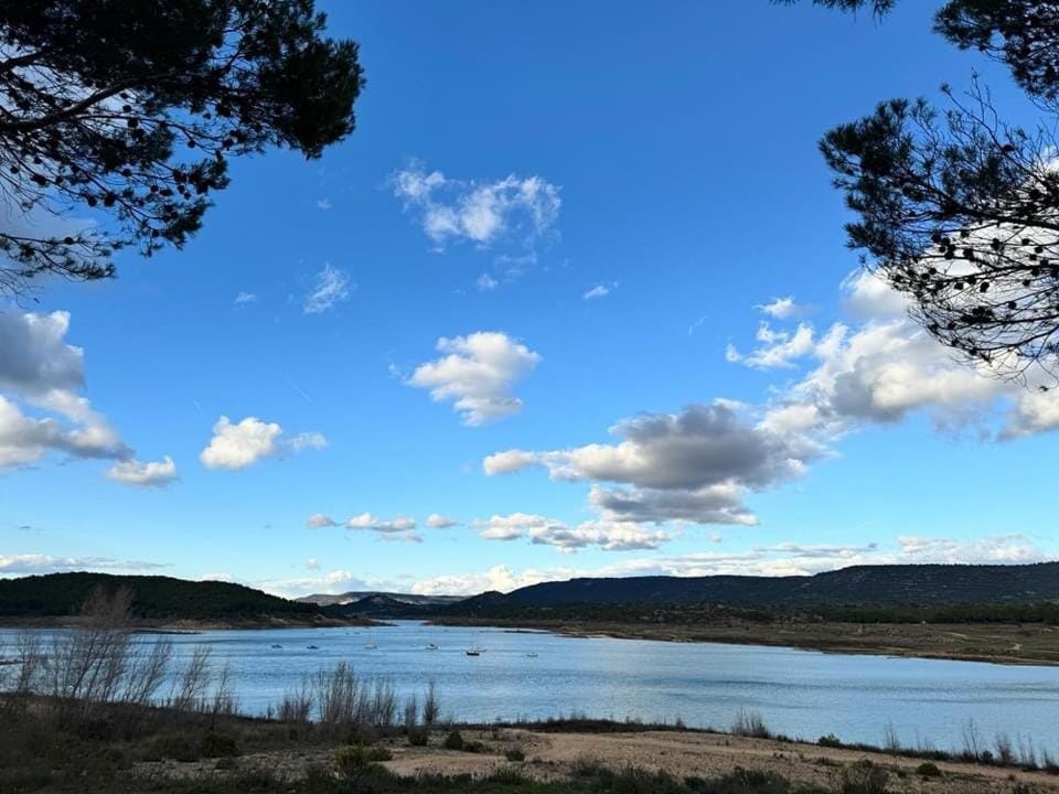Lake view