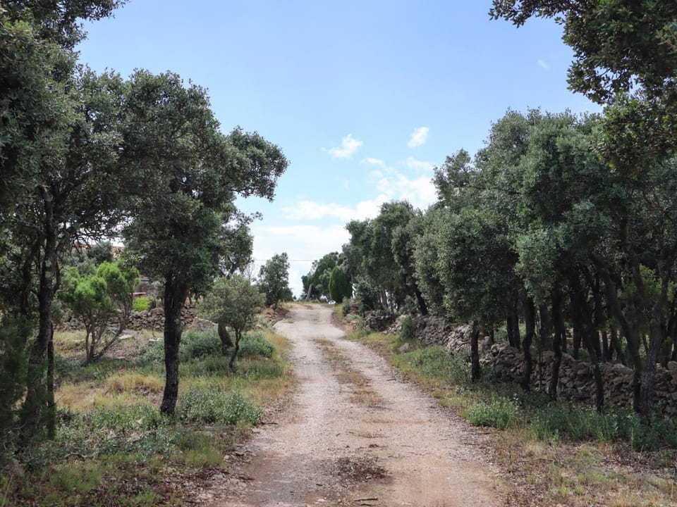 Natural landscape