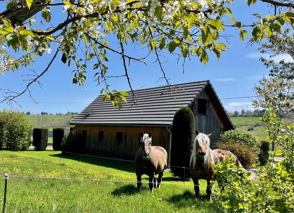 Le loti des Arnats Chalet in Auvergne-Rhône-Alpes