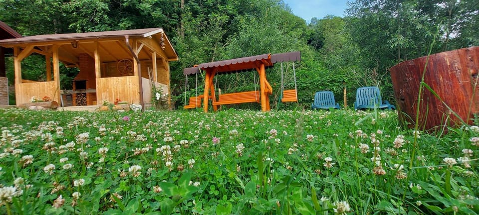 Natural landscape, Garden, Garden view