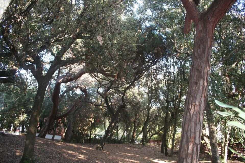 Natural landscape, Garden, Garden, Garden view