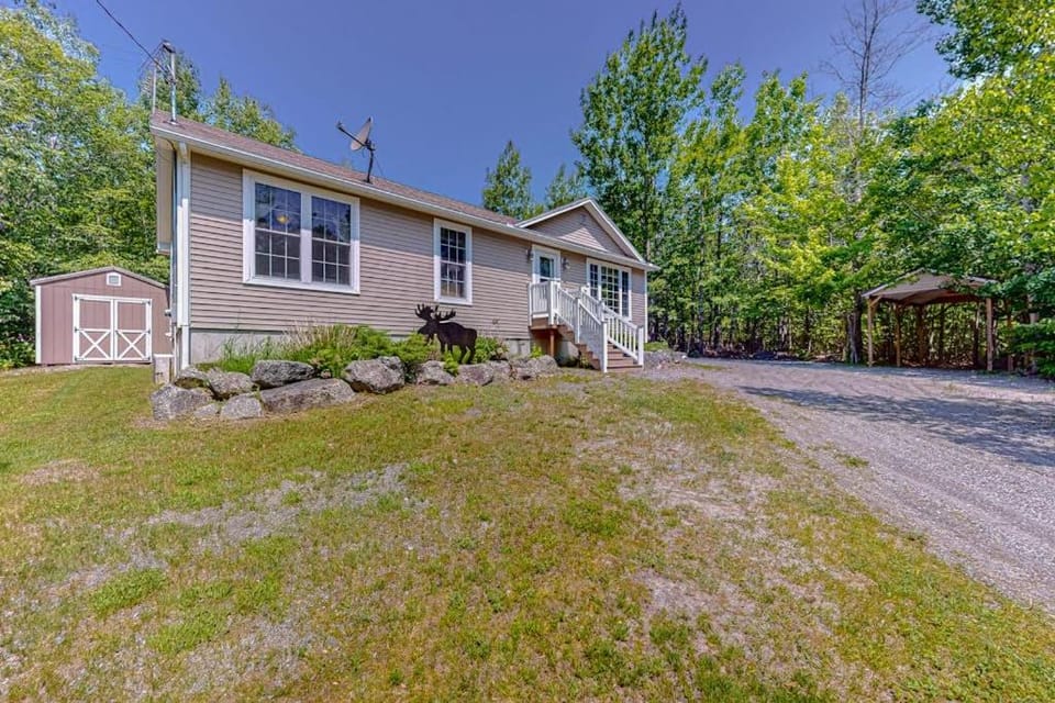 Property building, Day, Garden