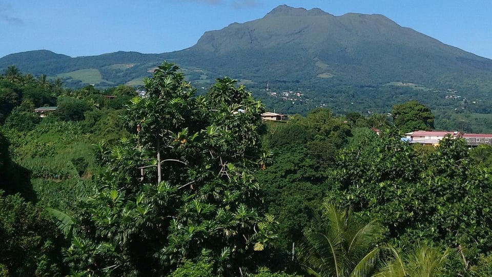 View (from property/room)