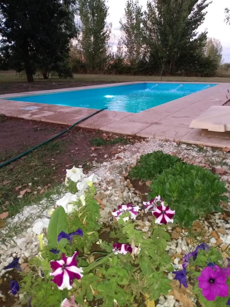 Spring, Garden, Garden view, Pool view, Swimming pool