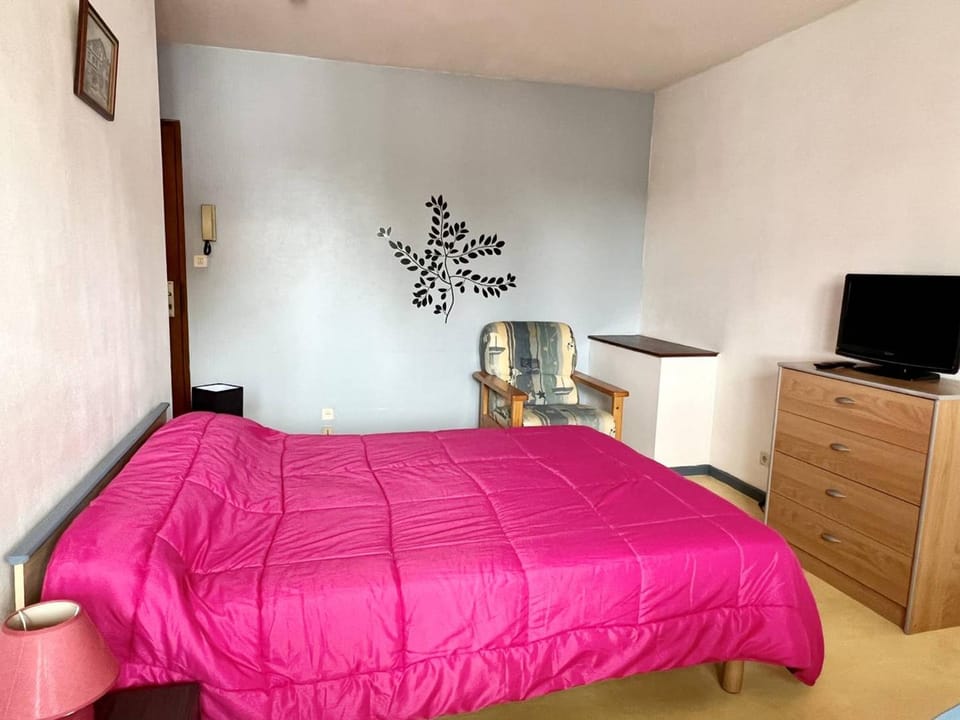 Studio cosy à Cambo-les-Bains avec parking - FR-1-495-120 Apartment in French Basque Country