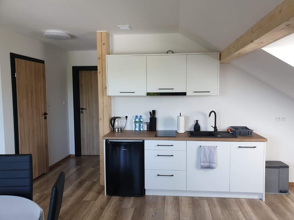 Podniebne Góry Apartment in Lower Silesian Voivodeship