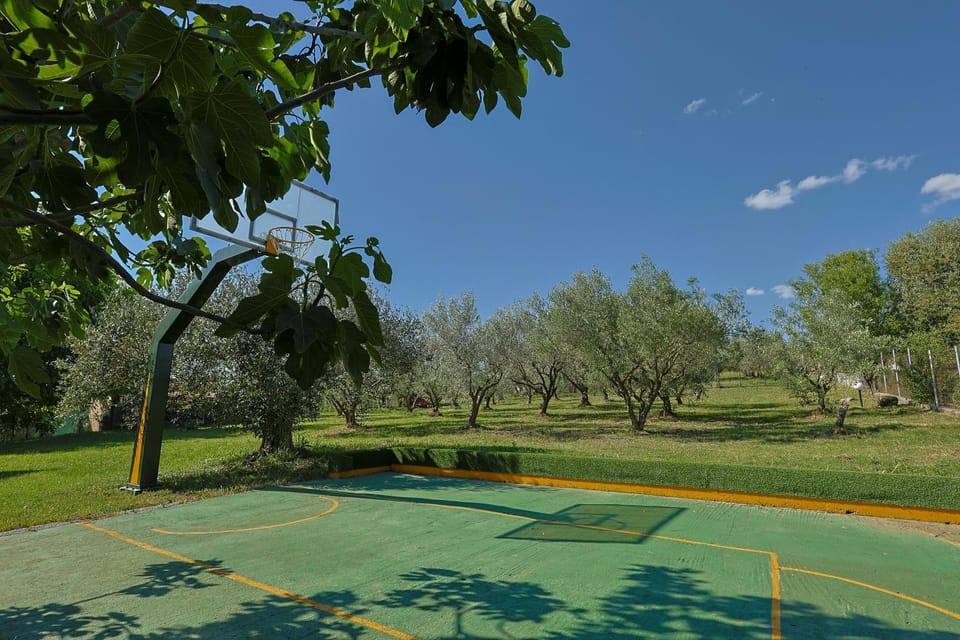 Day, Garden, Garden, Garden view