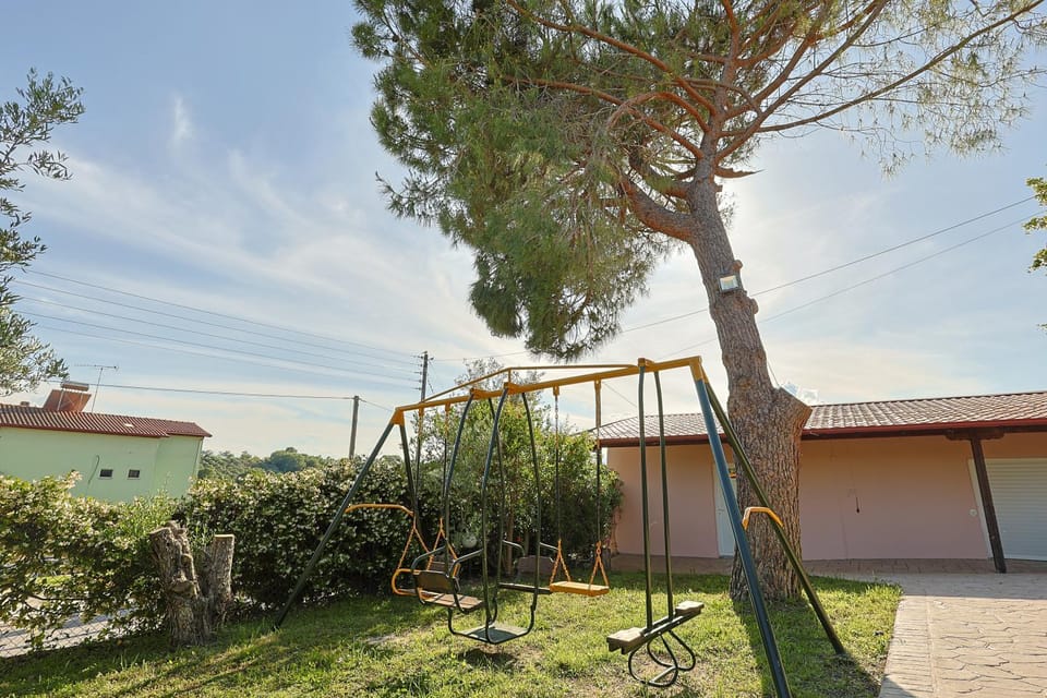 Spring, Day, Natural landscape, Children play ground, Garden view