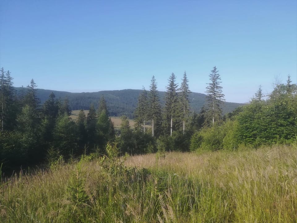 Natural landscape
