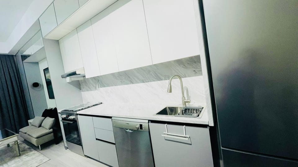 Kitchen or kitchenette, dishwasher, oven, stove