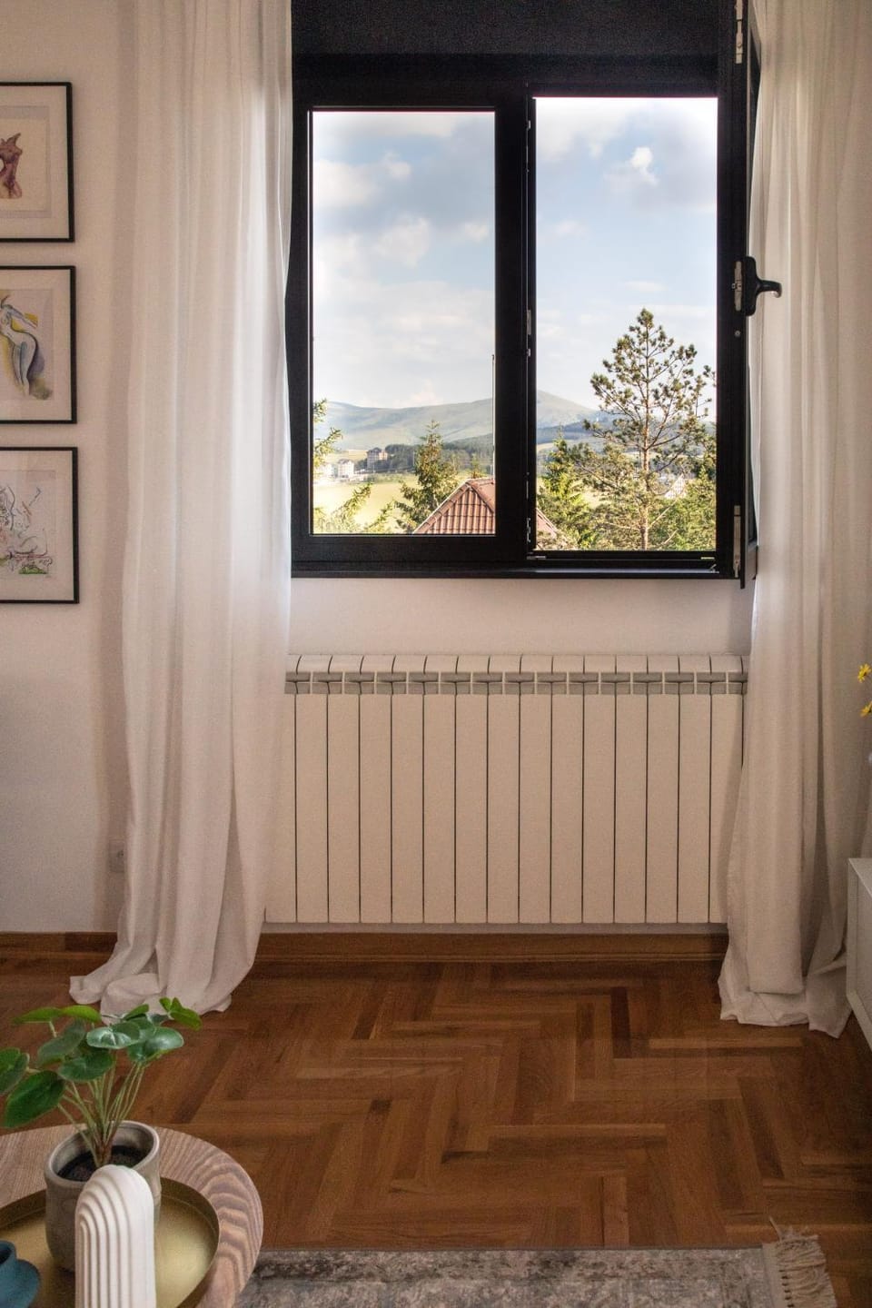 Living room, Mountain view