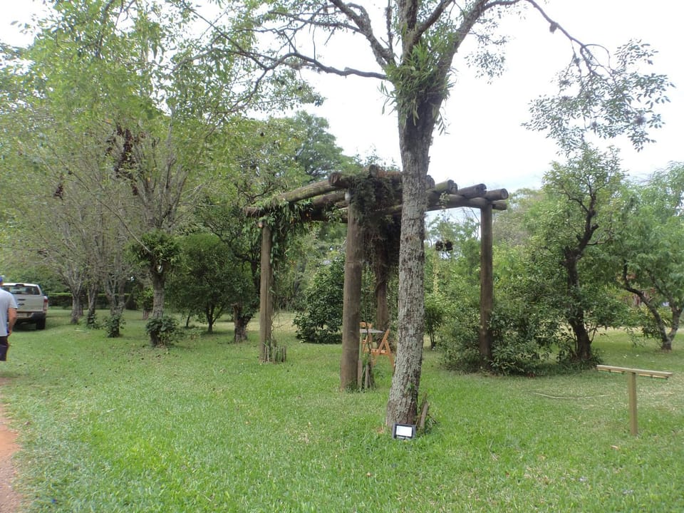 Garden, Garden