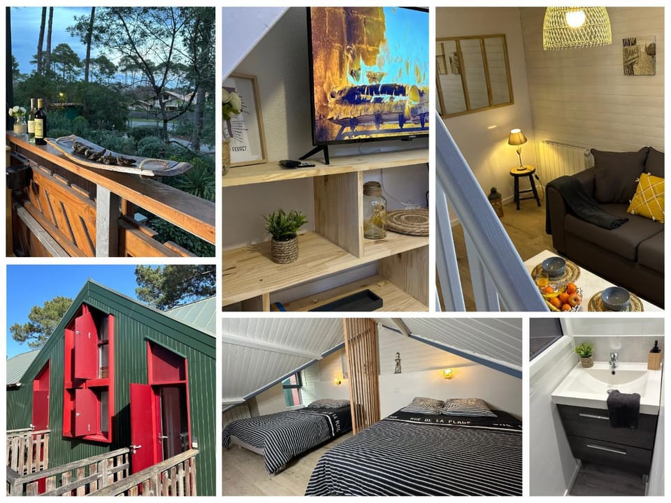 Le Cocon Cap Forêt Apartment in Lege-Cap-Ferret
