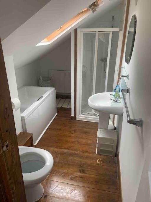 Shower, Toilet, Bathroom, Bath