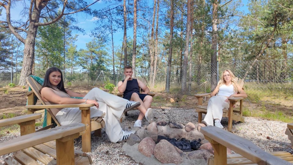 Garden, Garden view, sunbed