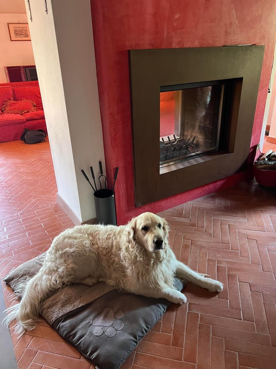 Casa Boru - a beautiful fully restored spacious house with fantastic views House in Province of Massa and Carrara
