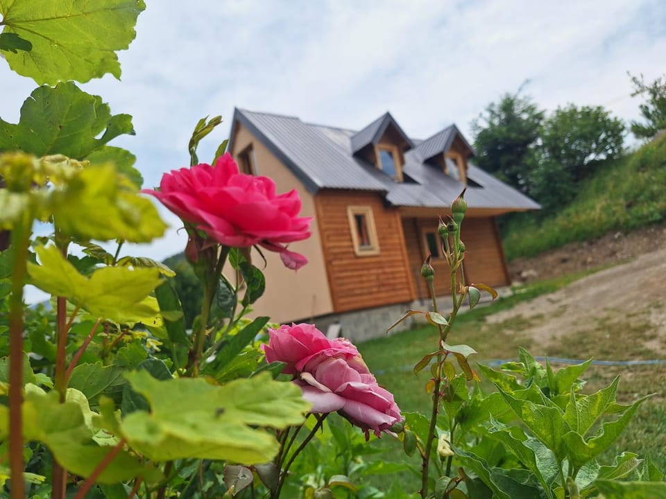 Dušan_guest_house Apartment in Montenegro