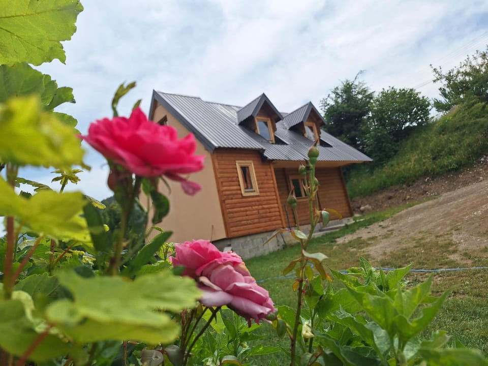 Dušan_guest_house Apartment in Montenegro