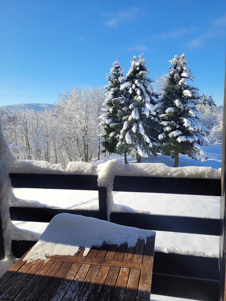 LE CHALET, Superbe Duplex avec Balcon aux Rousses, Netflix, WI-FI, Parking Gratuit et Draps inclus - Animaux Interdits Apartment in Jura