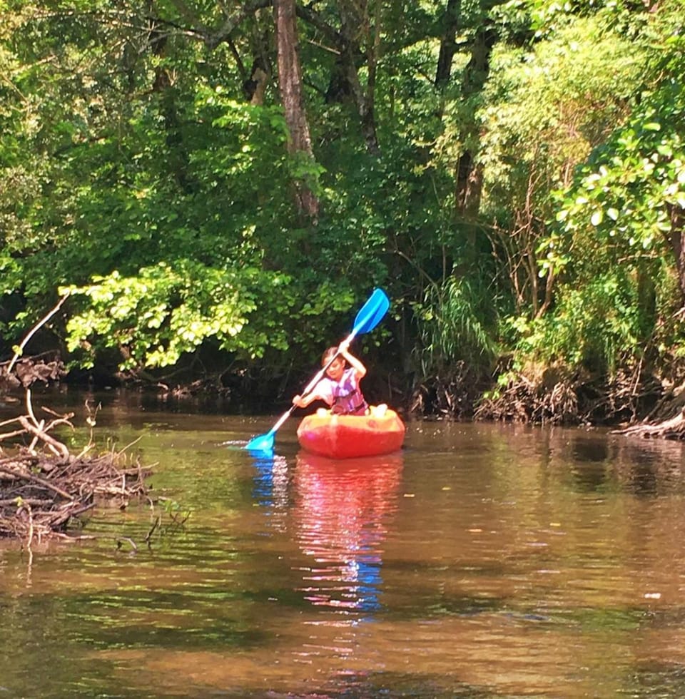 Day, Natural landscape, Canoeing, Evening entertainment, River view