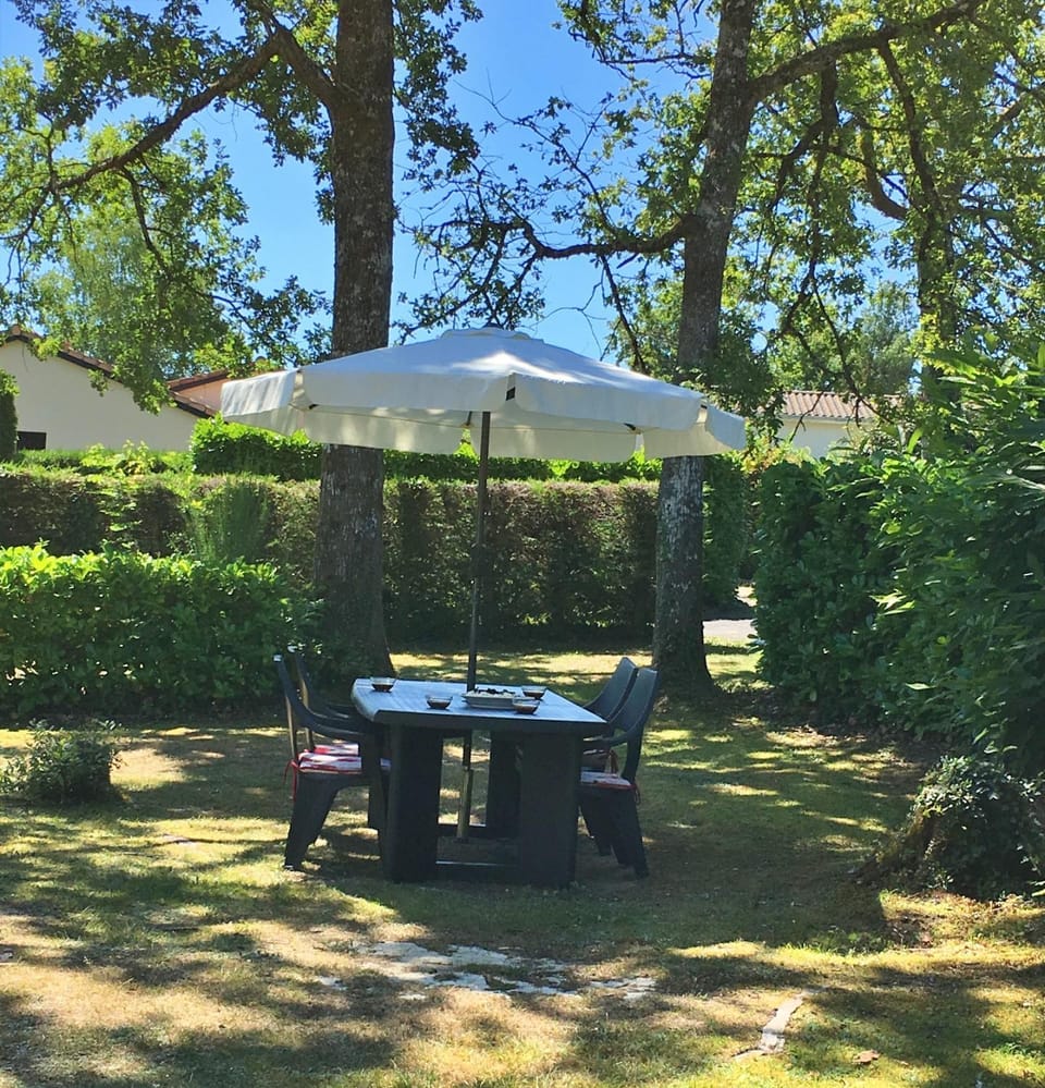 Day, Garden, Garden view