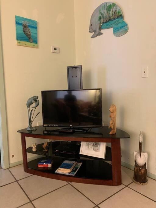 Professor Rousseau's Manatee Bay Apartment in Florida